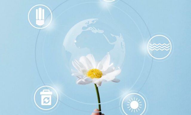 Economia Eco-Digital está em ebulição